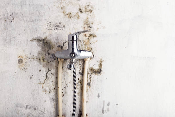 Trusted Dade City, FL Mold Remediation Experts