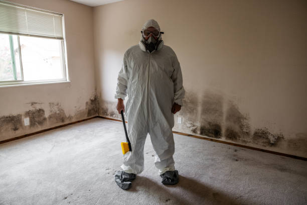Best Industrial Mold Remediation in Dade City, FL